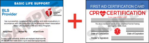 Sample American Heart Association AHA BLS CPR Card Certificaiton and First Aid Certification Card from CPR Certification Las Vegas