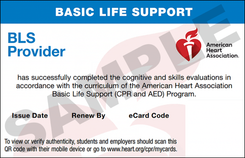 Sample American Heart Association AHA BLS CPR Card Certification from CPR Certification Las Vegas
