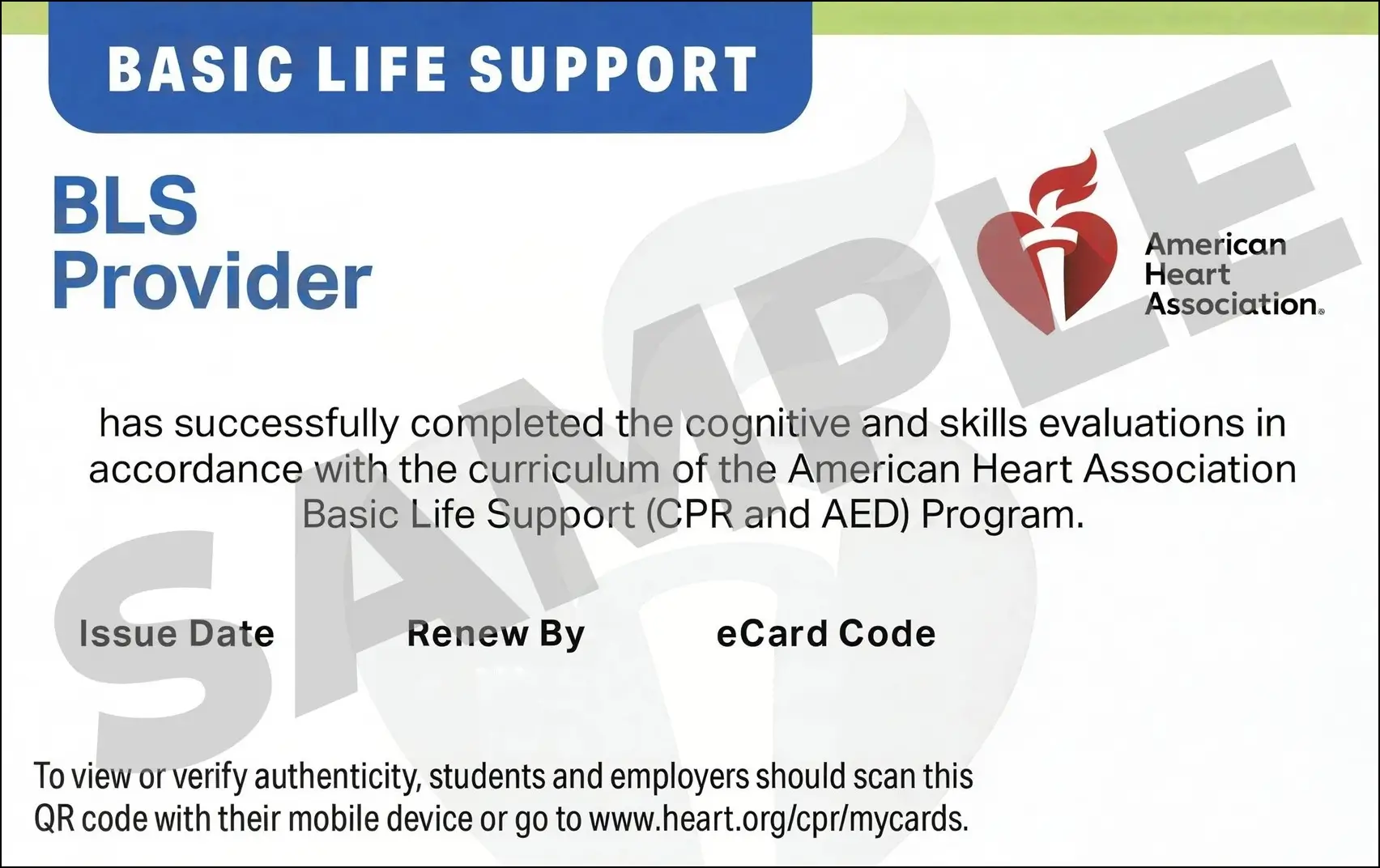 Sample American Heart Association AHA BLS CPR Card Certification from CPR Certification Las Vegas